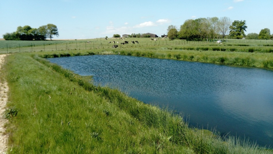 Construction d’un lagunage naturel sur la  commune de BIDESTROFF