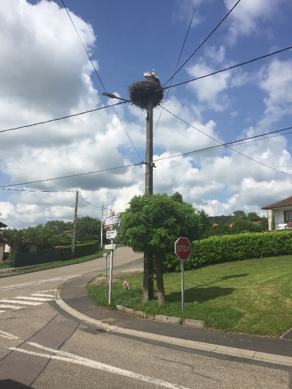 Requalification  de l’éclairage public communal à KERPRICH